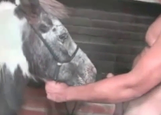 Fantastic anal sex with a beast