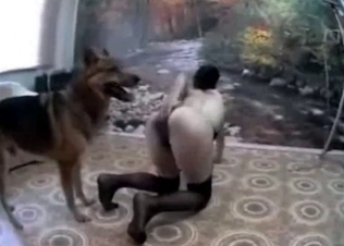 Kinky dog is playing dirty games with her