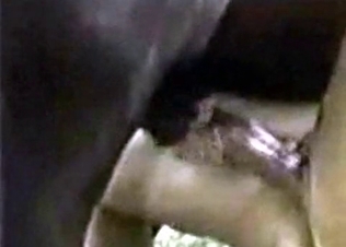 Lustful animal gets fucked so hard