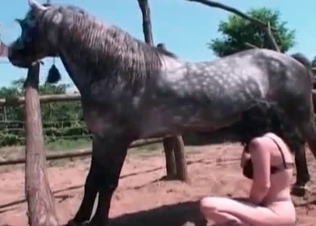 Adorable model and a massive horse