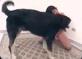Wild brunette loves fucking with a dog