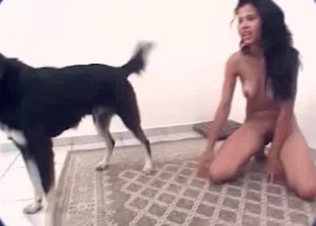 Wild brunette loves fucking with a dog