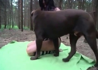 Sensational puppy is being fucked in the forest